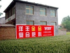 罗平如何让墙体广告展现最大化效果