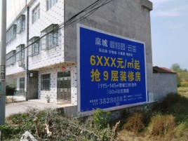 罗平墙体广告质量分析