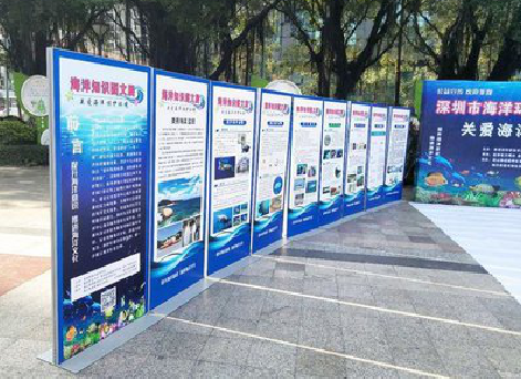 罗平KT板的种类和知识。